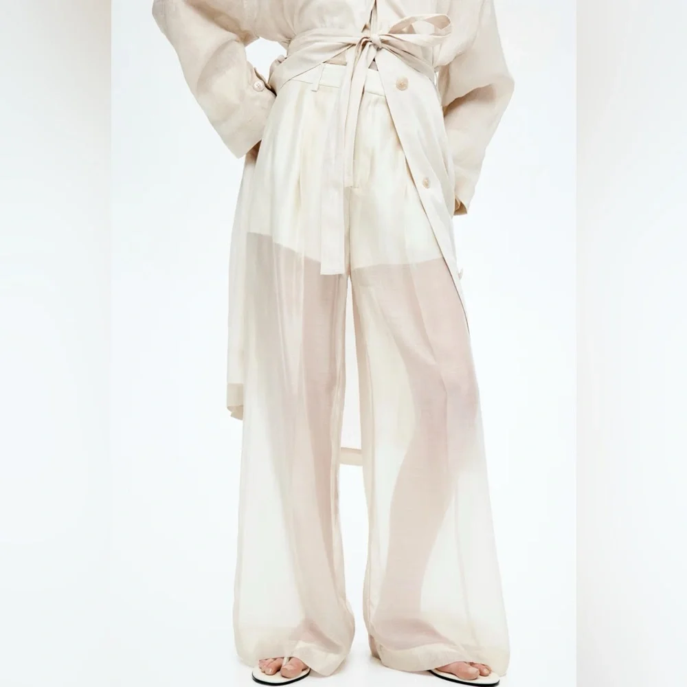 H&M EDITION WIDE-LEG SHEER PANTS - Picture 3 of 14